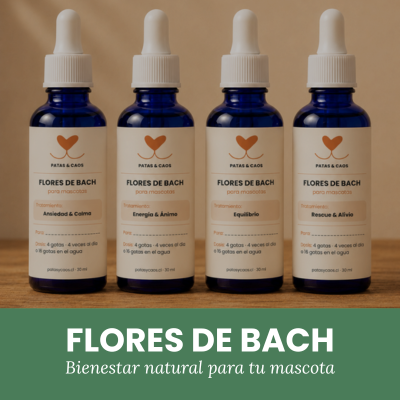 Flores de Bach