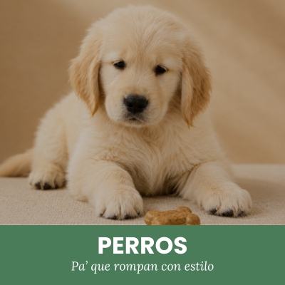 Perros